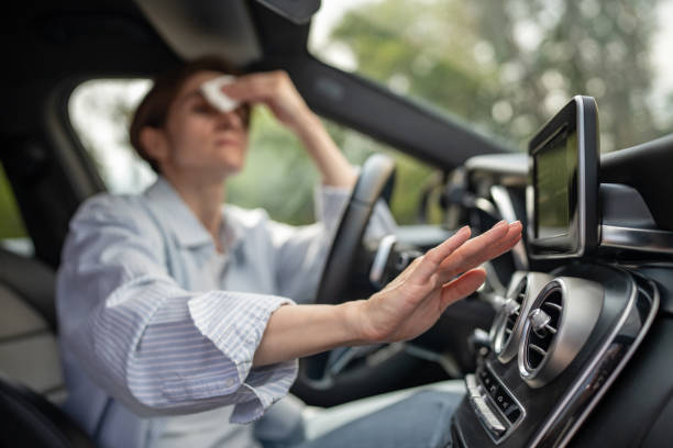 Best Thermostats and Smart Controls in Soperton, GA